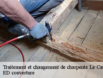 Traitement et changement de charpente  le-catelier-76590 ED couverture