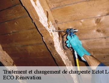 Traitement et changement de charpente  ectot-les-baons-76970 ECO Rénovation